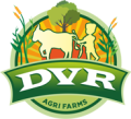 dvr logo header