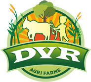 dvr logo header