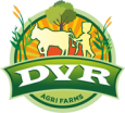 dvr logo header